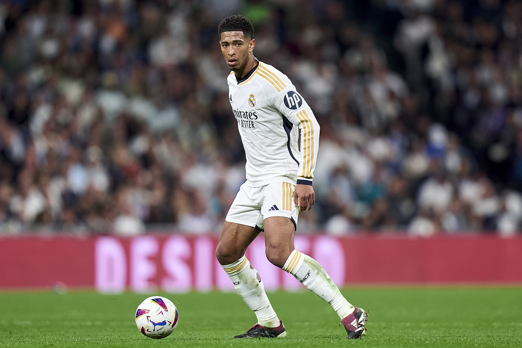 星自加盟米 星自加盟米